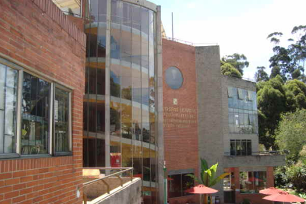 publicación Titulo Publicacion 1